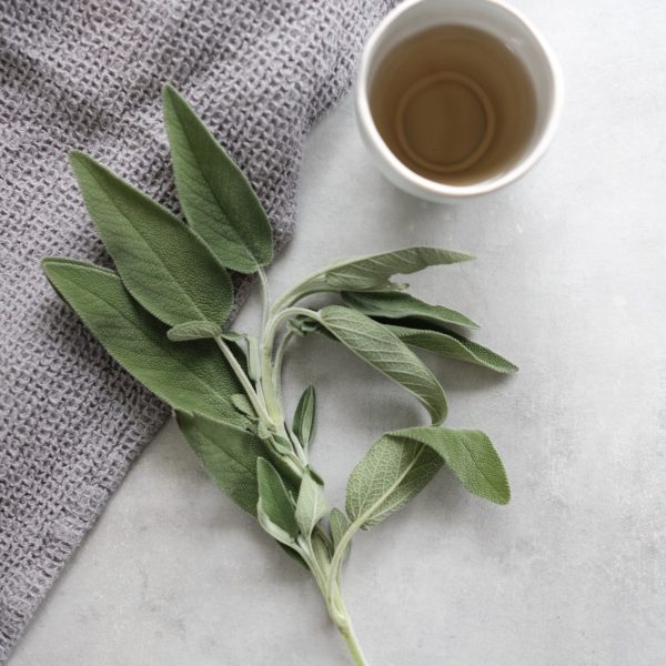 sage-tea-for-menopause